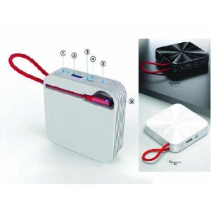 10000mAh Mini Powerbank 